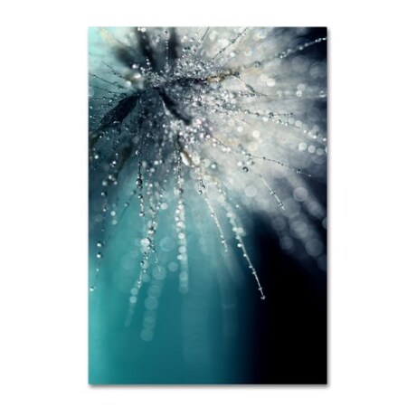 Trademark Fine Art Beata Czyzowska Young 'Morning Sonata' Canvas Art, 12x19 BC0097-C1219GG